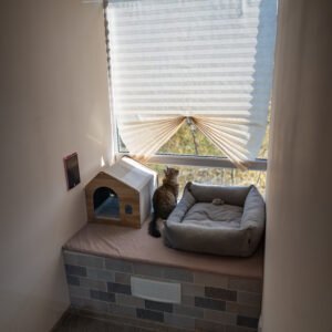 Habitación Deluxe King